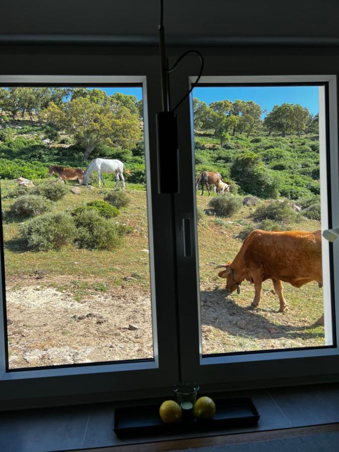 Cortijo Las Cabrerizas Фасинас Экстерьер фото